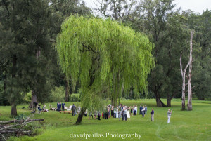 David Paillas Photography-29