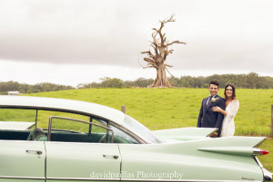 David Paillas Photography-59