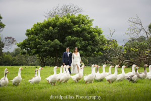 David Paillas Photography-64
